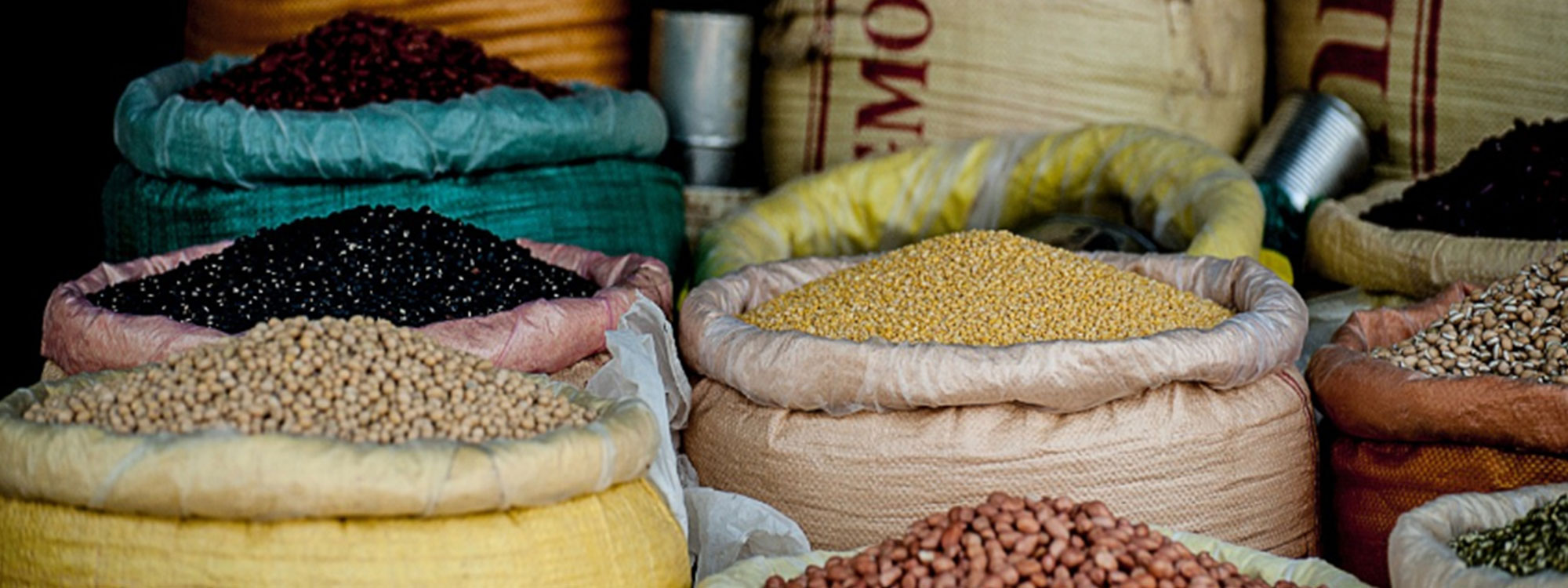 PROMOTING INTRA AFRICA<br> TRADE AND DEVELOPMENT